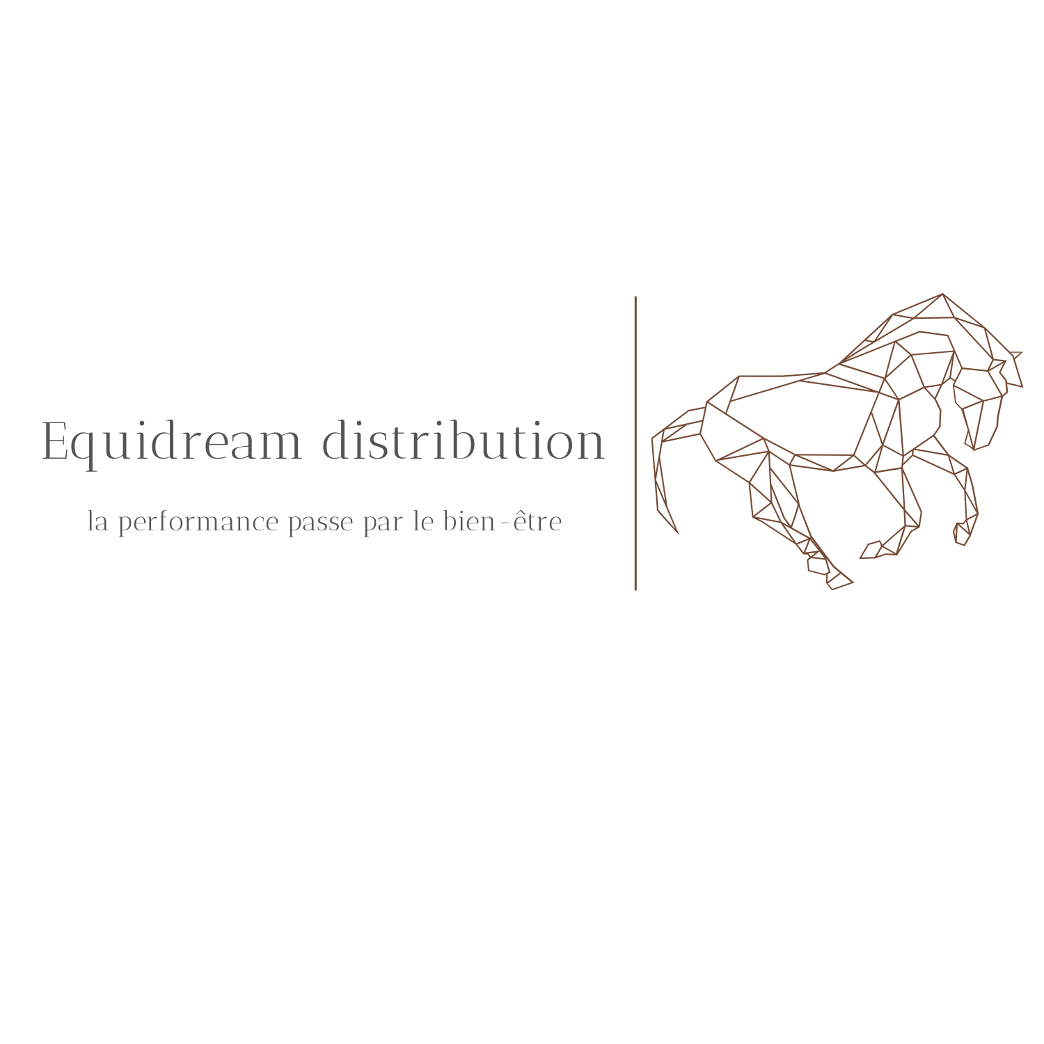 Equidream Distribution